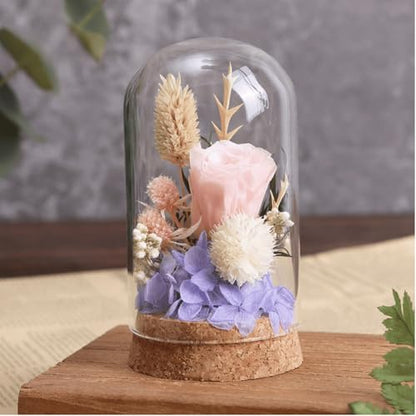 6 Pack Mini Glass Cloche with Cork Base, 2.37x3.94 Clear Bell Jars