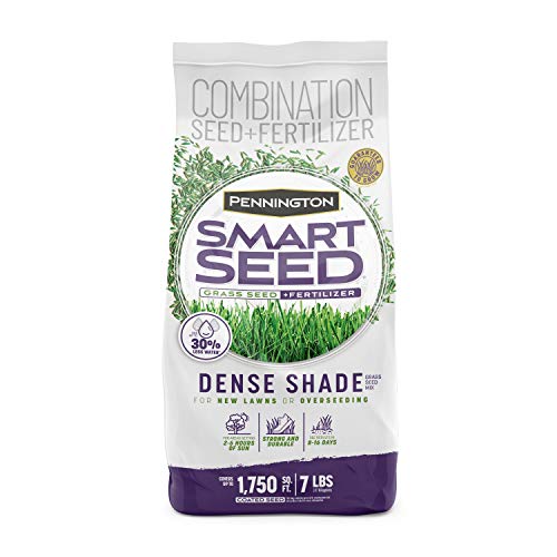 Pennington Smart Seed Dense Shade Mix Grass Seeds for Lawn, 7 Lb - size: 7 LB