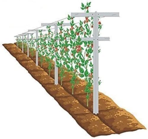 Grape Vine Trellis 7ft Tall 3pcs Set for Raspberry and Grape Plants, Heavy Duty, Easy to Install Vineyard Trellis, Fiberglass Rust-Proof, (84inch 3Trellises) - size: 7 Feet-3trellis