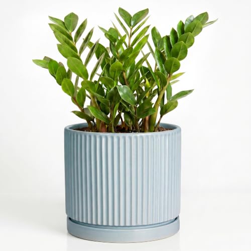 10 Inch Plant Pot, Ceramic Pots for Plants with Tray, Light Blue - color: Light Blue, size: 10 Inch