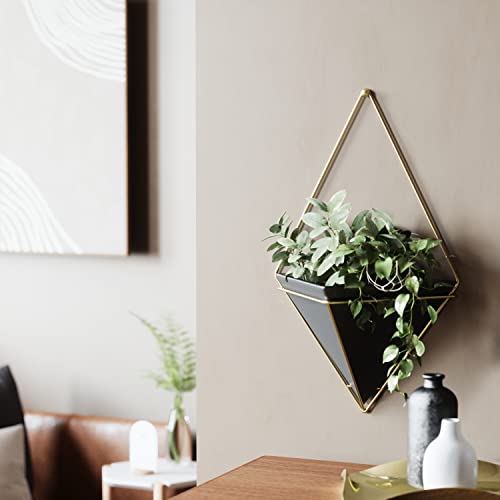 Umbra Trigg Wall Display, Large Geometric Planter Vessel, Black/Brass - color: Black/Brass, size: Large