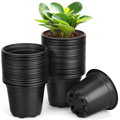 60 Pack 6 Inch Nursery Pots for Plants, Plastic Seeds Starter Pots with Drainage Holes, Small Plastic Plant Nursery Pots for Succulents Seedling Cutting Transplanting (60, 6 Inch) - size: 6 Inch