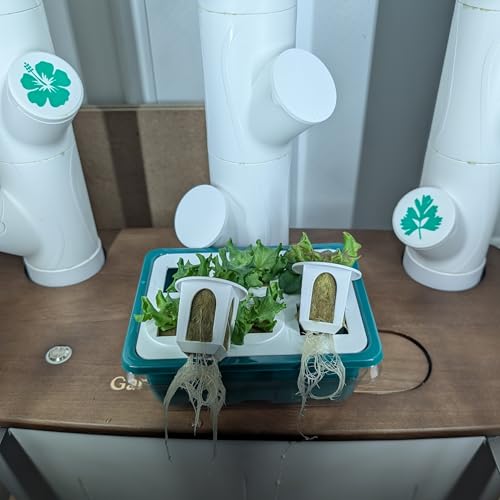 Grow Cubes for Hydroponic System/Grow Cubes Compatible with Gardyn (Seed Starter Nursery + w/Rockwool) - style: Seed Starter Nursery + w/Rockwool