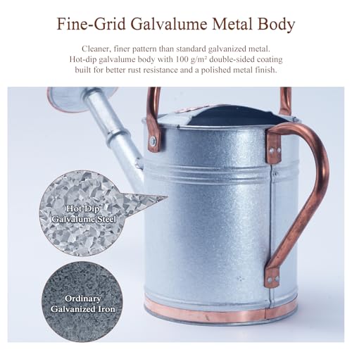 1 Gallon Outdoor Metal Watering Can with Real Copper Details - color: Stardust & Vermilion