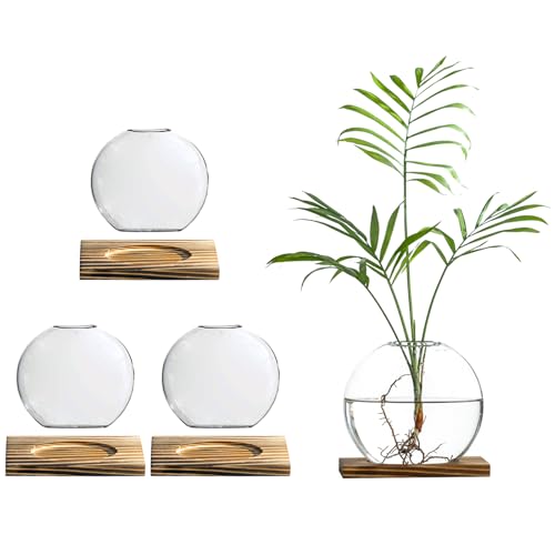Glass Planter Propagation Station with Wooden Base - Clear Oblate Hydroponic Vase, Decorative Desktop Flower Vase for Home, Office, Windowsill - Gift for Plant Lovers (4)