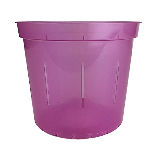 rePotme 5" Slotted Clear Orchid Pots - 3 Pack (Rose Quartz) - color: Rose Quartz, size: 5 inch