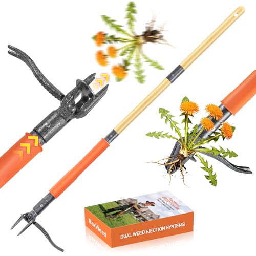 Stand Up Weed Puller Tool, 4-Claw Steel Head Deep Root Extractor with Dual-Eject Design, Real Bamboo Long Handle & Metal Anti-Slip Pedal, No Bending Dandelion Remover for Garden - color: orange
