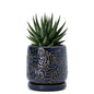 D'vine Dev Embossed Leaves Ceramic Planter, 4 in, Midnight Blue, 27-A-Z-3 - color: Midnight Blue, size: 4 Inch