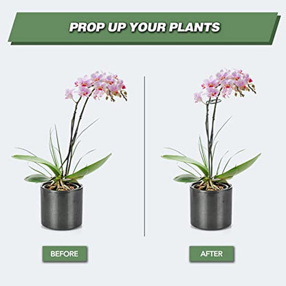 20 Pack 36 Inch Plant Support Stakes for Outdoor Plants and Indoor Flowers - size: 36 Inch