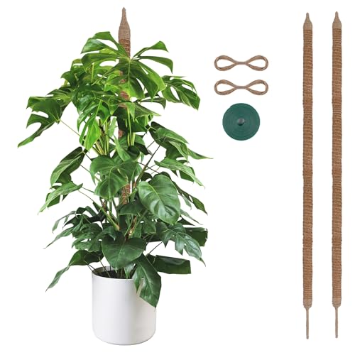 Bendable Moss Pole, 2 Pack 46'' Monstera Plant Support, Large Moss Pole for Indoor Potted Plants