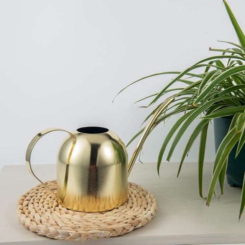 IMEEA 30oz Indoor Plant Watering Can Stainless Steel Long Spout, Gold - color: 30oz (1l) - Gold
