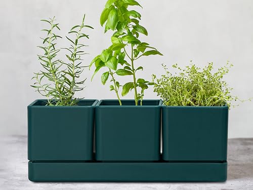 D'vine Dev Plastic Herb Garden Planter Set, Green, 76-V-C-1 - color: Green, size: 12"