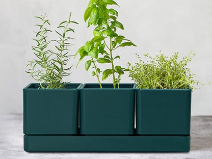 D'vine Dev Plastic Herb Garden Planter Set, Green, 76-V-C-1 - color: Green, size: 12"