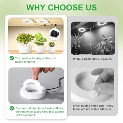 Ceiling LED Plant Growth Lights for Indoor Plants, Warm+White Full Spectrum 3.54" Grow Lamps for Plant Growth with 6/12/16H Timer, 3 Spectral Modes, 10 Dimmable Levels, Halo Angel Ring White (2 Head) - size: 3.54in 2 Head