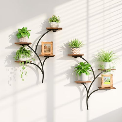 2 Pack Wall Mounted Plant Holder, 8-Tier Wall Planters for Indoor Plants