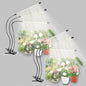 Plant Light Grow Light for Indoor Plants 2 Pack, Full Spectrum Indoor Grow Lamp, 10-Level Dimmable and Auto ON & Off Timer - color: Yellow＆White（3 Tubes 2 Pack）