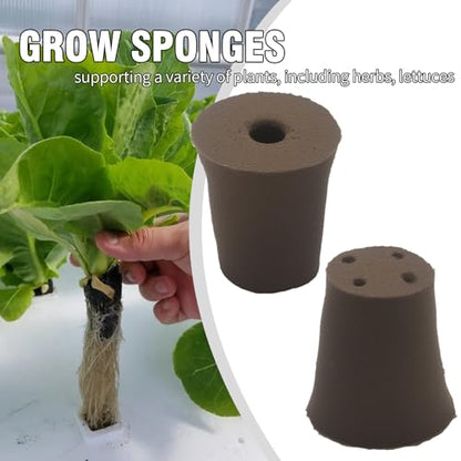 60Pack Grow Sponges, Seed Starter Plugs for Seeds and Cuttings, Suitable for Hydroponic Systems and Soil Cultivation for Indoor and Outdoor Plant Rooting Herbs Vegetables Cultivation Planting Sponges
