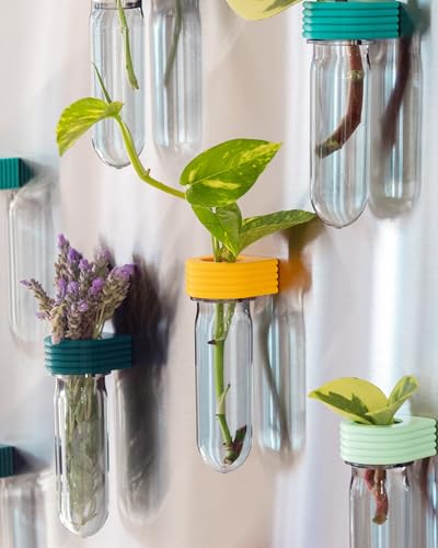 Propagation Station Wall Hanging Terrarium Upcycled 3D Printed Eco Friendly Unique Plant Lover Gift (Forest) - color: Forest