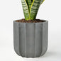 10 Inch Ceramic Plant Pot for Indoor Plants with Drainage Hole - color: Grey 10"