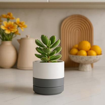 D'vine Dev 4-Pack Ceramic Pots with Saucers, White/Grey, 4.7 in, 94-X-B-6 - color: White/Speckled Grey, size: 4.7 Inch