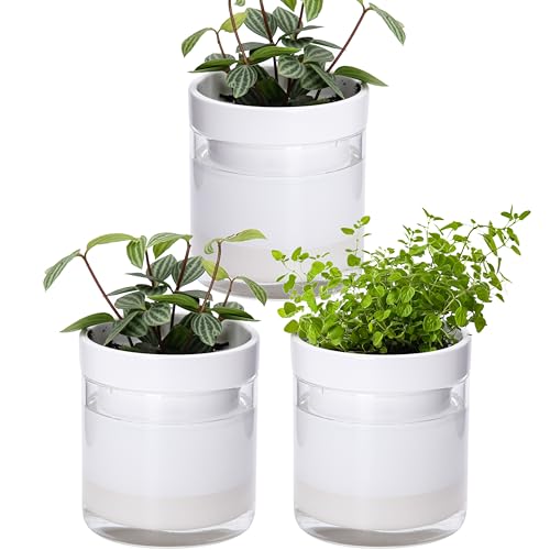 Phoenix Vine 4 Inch Self Watering Planter, White Terracotta Clay Pot with Glass Reservoir for Indoor Plants, Herbs, Flowers, Set of 3, 52-B-E-3 - color: White, size: 4" (3 Pack)