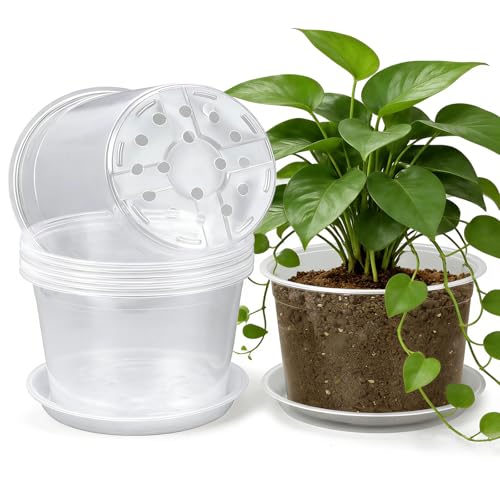 8 Inch Clear Nursery Pots with Drainage and Sacuers, 8 Pack Plastic Pots for Plants Indoor Outdoor, Large Clear Pots for Flowers, Succulents (8inx8pcs) - size: 8inx8pcs