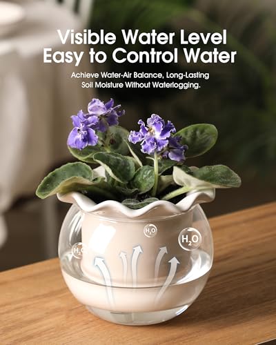 Fayoula 6 Inch African Violet Pots Maintenance, Glass Self-Watering Planter for Indoor Plants - Ideal Flower Pot for Thriving Indoor Gardens, Pots Only (Version 2)