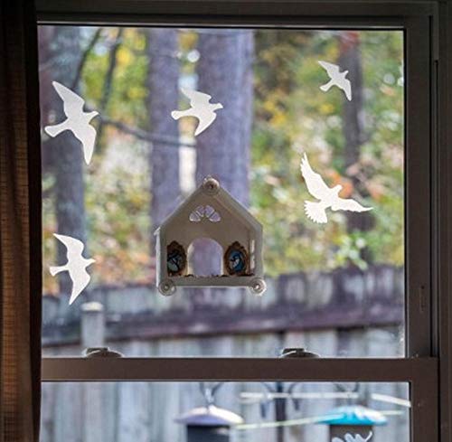 Anti Collision Window Bird Stickers Decals Glass Door Protect and Save Bird Strikes (Transparent 36 Pcs) - color: Transparent-36 Pcs