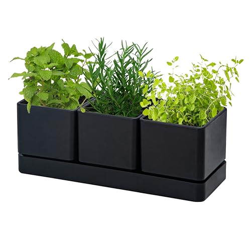 D'vine Dev Plastic Herb Garden Planter Set, Black, 76-V-B-1 - color: Black, size: 12"