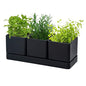 D'vine Dev Plastic Herb Garden Planter Set, Black, 76-V-B-1 - color: Black, size: 12"