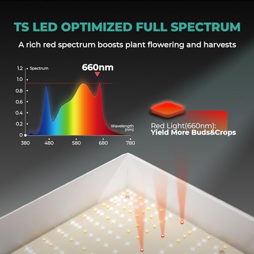 MARS HYDRO 300W TSW2000 Led Grow Light for Indoor Plants Seeding Veg Bloom - size: 23.3" × 18.7"