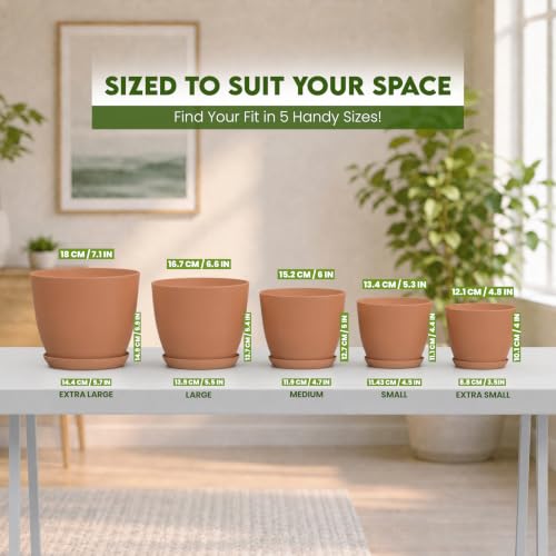 Plant Pots Indoor with Drainage, 5 Pack Multi-Size Planters Set, Terracotta - color: Terracotta, size: Pack of 5