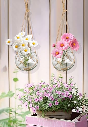 SAILINGSTORY Hanging Glass Plant Terrarium 5" Clear Set of 2 Pack