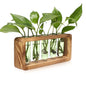 Glass Plant Propagation Station with 5 Test Tubes Colorful Planter Vase - color: Green