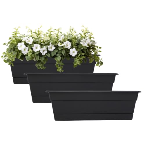 Bloem Dura Cotta 30" Plastic Window Box Planter with Saucer, Black, 3-Pack - color: Black, size: 30" (Pack of 3)