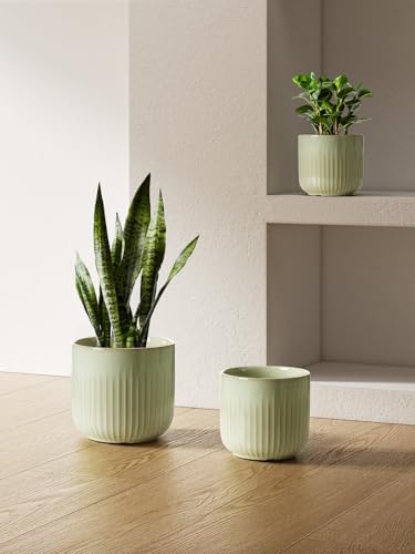 LE TAUCI Ceramic Pots for Plants, 8.3/7/6 Inch Indoor Planters with Drainage Holes & Mesh, Modern Glossy Glaze Cylinder Fluted Plant Pot for Snake Plant, Set of 3, Sage Green - color: Sage Green