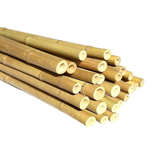Bamboo Stakes with Jute Twine, 5FT Garden Stakes Multi-Purpose, Plant Stakes for Tomatoes, Beans, Cucumbers, Peppers, Flowers, Potted, Maintain the Plant Posture, Strengthen and Stem (25 Pack)