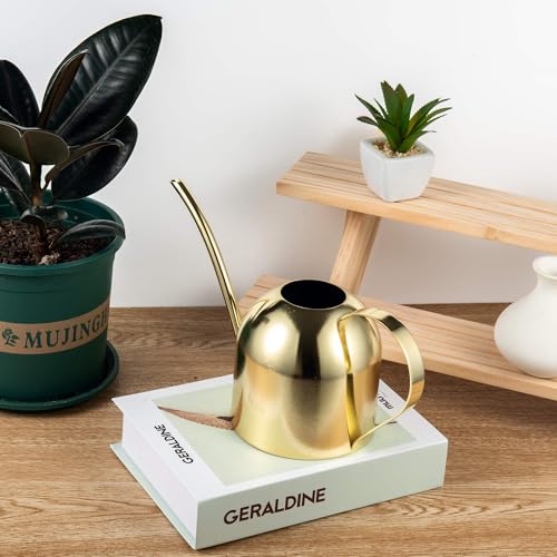 IMEEA 30oz Indoor Plant Watering Can Stainless Steel Long Spout, Gold - color: 30oz (1l) - Gold