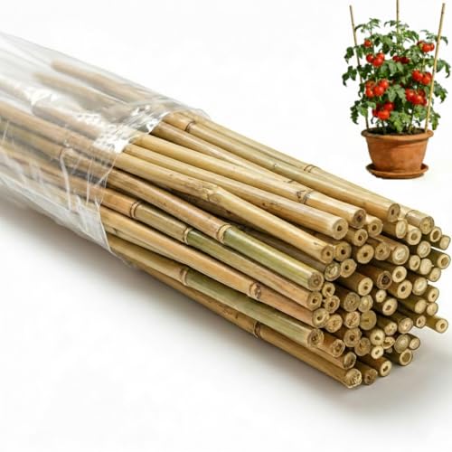 65 Pcs Bamboo Plant Stakes 4 Feet, Oltara Natural Bamboo Sticks Garden Stakes for Climbing Plants Support, Bamboo Poles,Potted Plants, Tomatoes, Beans, Flowers, Trees - size: 4 Feet-65 Pack