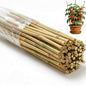 65 Pcs Bamboo Plant Stakes 4 Feet, Oltara Natural Bamboo Sticks Garden Stakes for Climbing Plants Support, Bamboo Poles,Potted Plants, Tomatoes, Beans, Flowers, Trees - size: 4 Feet-65 Pack