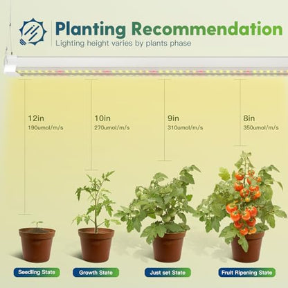 FREELICHT 2Pack 4FT Grow Light for Indoor Plants, Timer, 40W Full Spectrum