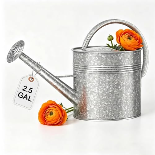 Galvanized Watering Can for Outdoor Indoor Plants, 2.5 Gallon Ellipse Decorative Countryside Style Water Can with Removable Spout, Metal Watering Can for Indoor Plants and Garden Flower