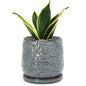 D'vine Dev Embossed Leaves Ceramic Planter, 5 in, Graphite Blue, 27-A-V-9 - color: Graphite Blue, size: 5 Inch