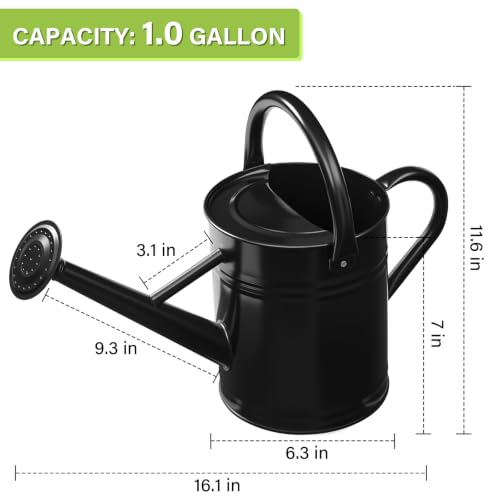 1 Gallon Watering Can for Outdoor&Indoor Plants，Black - color: Black