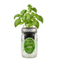 Hydroponic Growing Kit, Self-Watering Mason Jar Herb Garden Starter Kit Indoor, Windowsill Herb Garden, Grow Your Own Herbs from Organic Seeds (Basil) - color: Basil