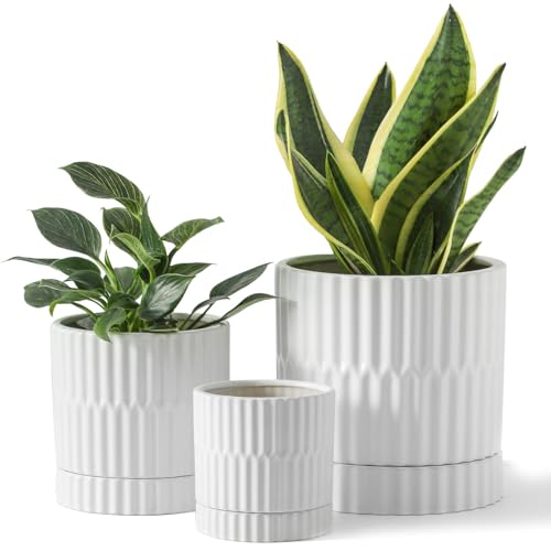 HASENSE Ceramic Plant Pots Set of 3, 8/6/4.6 Inch Cylinder Flower Planters with Drainage Saucers, Vertical Ribbed Modern White for Home Office & Outdoor Plants - color: White, size: 8+6+4.6 Inch