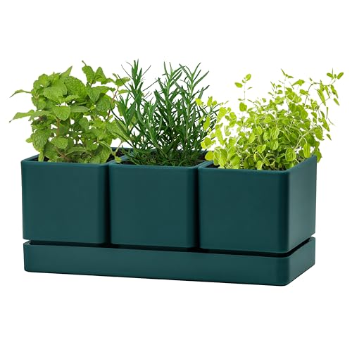 D'vine Dev Plastic Herb Garden Planter Set, Green, 76-V-C-1 - color: Green, size: 12"