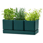 D'vine Dev Plastic Herb Garden Planter Set, Green, 76-V-C-1 - color: Green, size: 12"