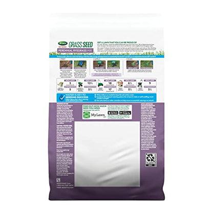 Scotts Turf Builder Grass Seed Perennial Ryegrass Mix, 2.4 lbs. - size: 2.4 lb.