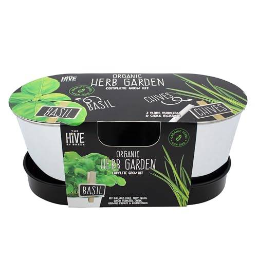 Buzzy Seeds Kitchen Herb Kit 2-Pot with Tray, Metal Planters, Basil Chives